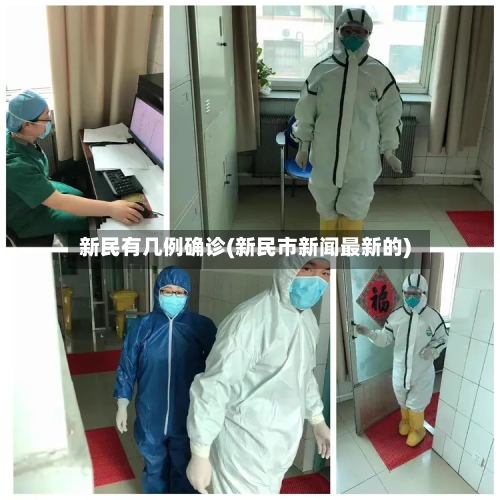 新民有几例确诊(新民市新闻最新的)-第2张图片