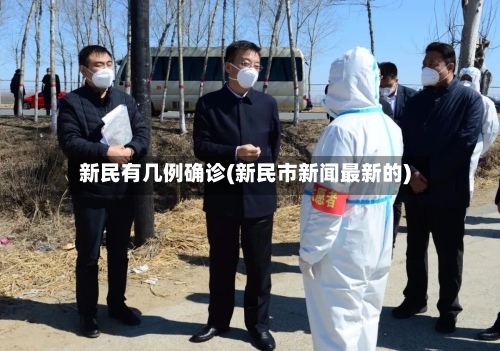 新民有几例确诊(新民市新闻最新的)