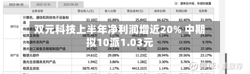 双元科技上半年净利润增近20% 中期拟10派1.03元-第3张图片
