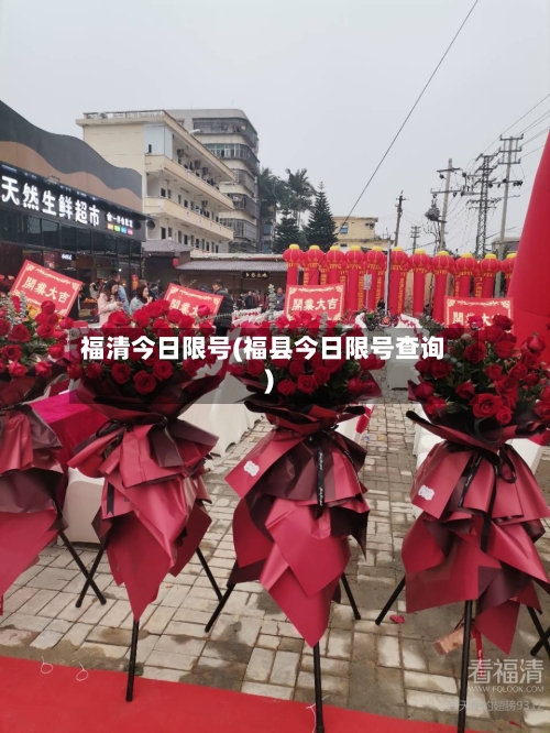 福清今日限号(福县今日限号查询)-第2张图片