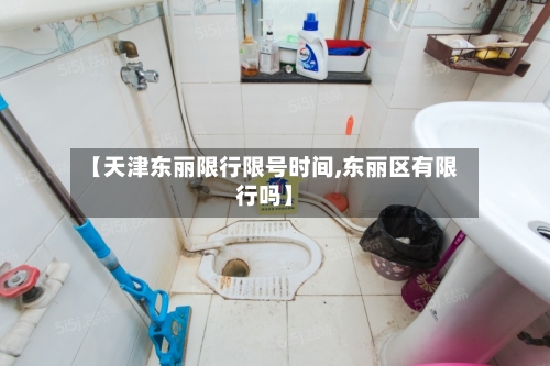 【天津东丽限行限号时间,东丽区有限行吗】