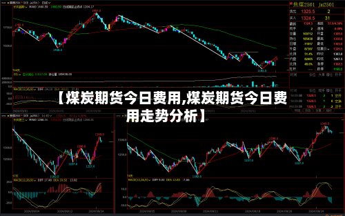 【煤炭期货今日费用,煤炭期货今日费用走势分析】-第2张图片