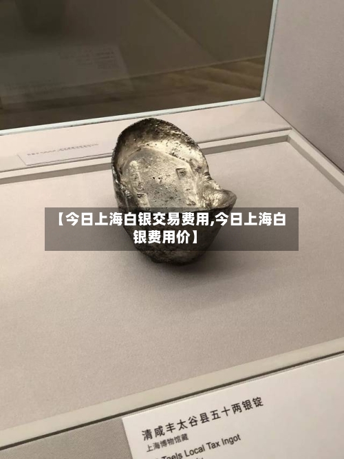【今日上海白银交易费用,今日上海白银费用价】-第2张图片