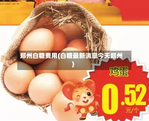 郑州白糖费用(白糖最新消息今天郑州)-第2张图片