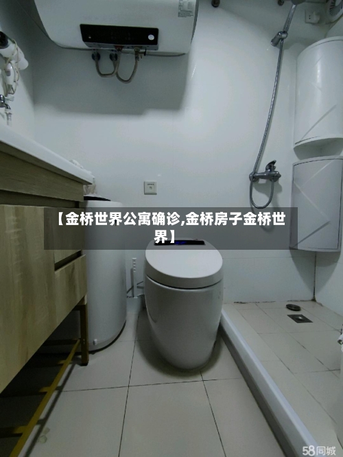 【金桥世界公寓确诊,金桥房子金桥世界】-第2张图片