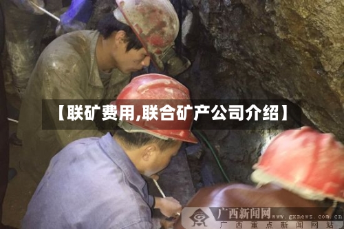 【联矿费用,联合矿产公司介绍】-第3张图片
