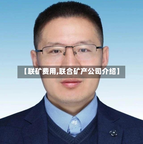 【联矿费用,联合矿产公司介绍】-第2张图片