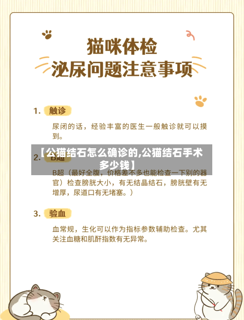 【公猫结石怎么确诊的,公猫结石手术多少钱】-第2张图片