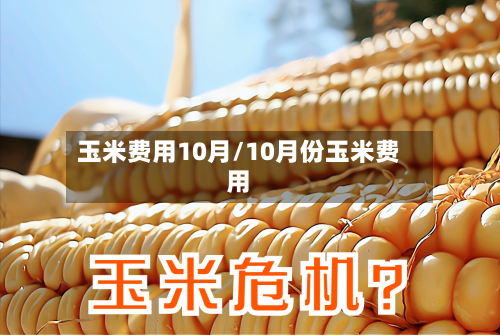 玉米费用10月/10月份玉米费用-第2张图片