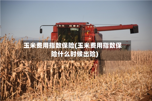 玉米费用指数保险(玉米费用指数保险什么时候出险)-第2张图片