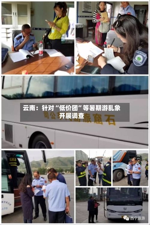 云南：针对“低价团”等暑期游乱象开展调查-第2张图片