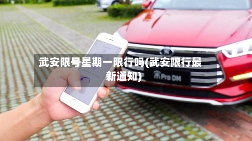武安限号星期一限行吗(武安限行最新通知)-第3张图片