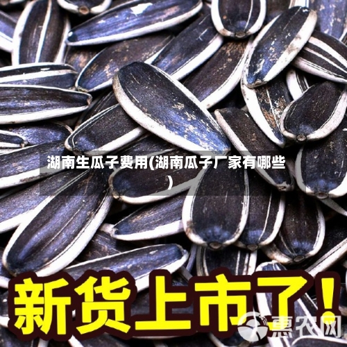 湖南生瓜子费用(湖南瓜子厂家有哪些)-第3张图片