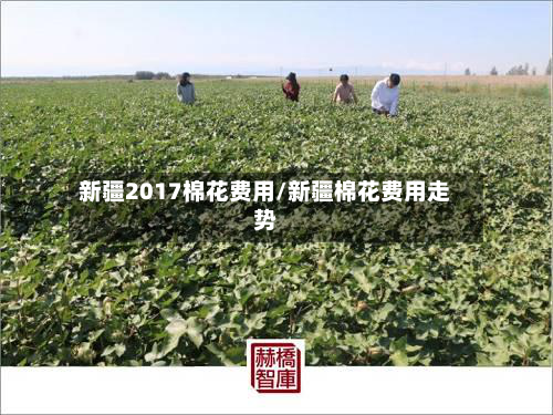 新疆2017棉花费用/新疆棉花费用走势