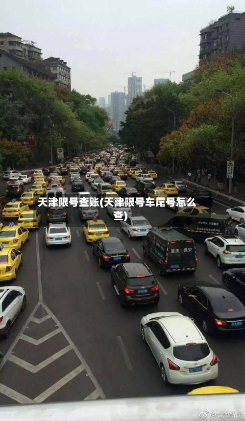 天津限号查账(天津限号车尾号怎么查)