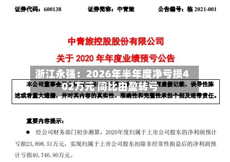 浙江永强：2026年半年度净亏损402万元 同比由盈转亏-第3张图片