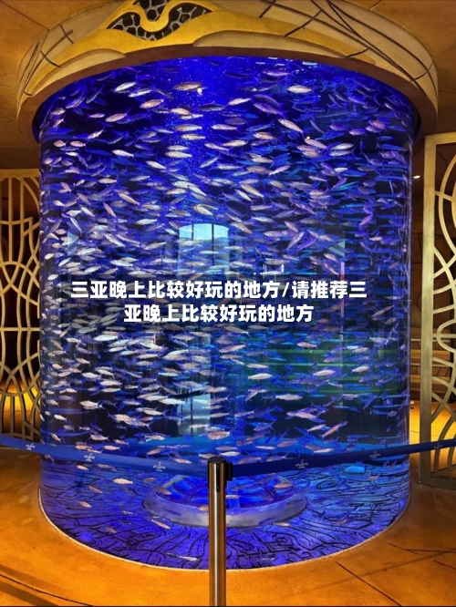 三亚晚上比较好玩的地方/请推荐三亚晚上比较好玩的地方
