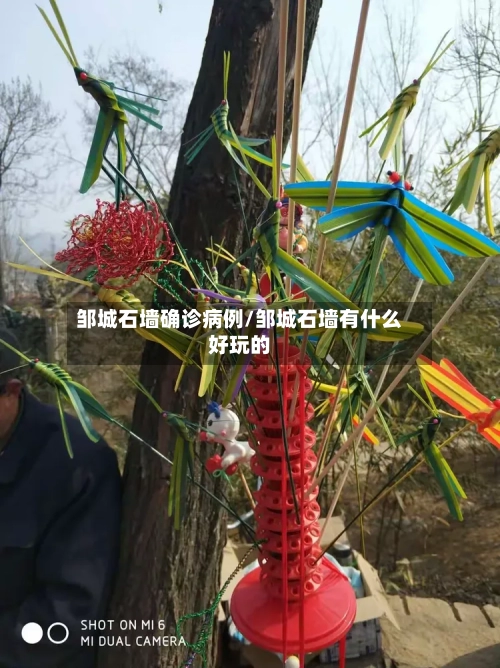 邹城石墙确诊病例/邹城石墙有什么好玩的-第2张图片