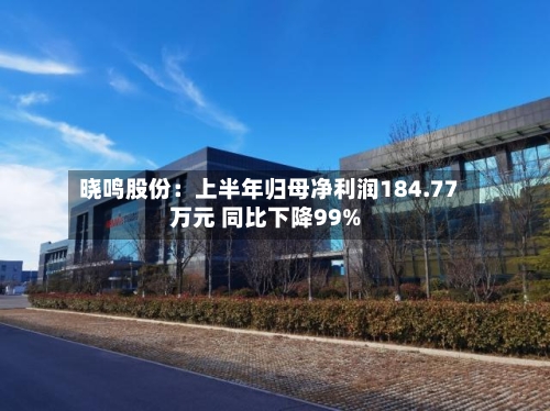 晓鸣股份：上半年归母净利润184.77万元 同比下降99%