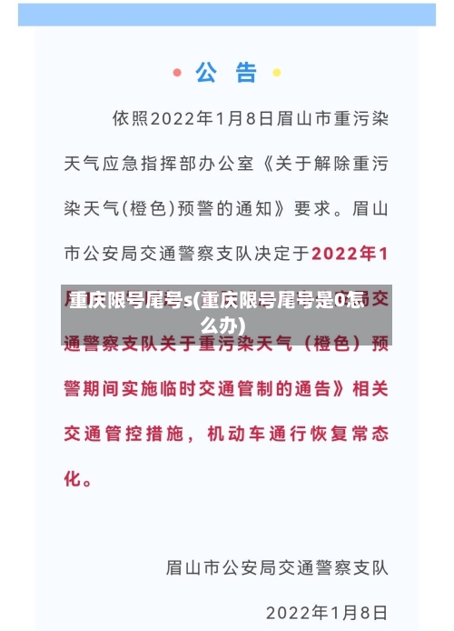 重庆限号尾号s(重庆限号尾号是0怎么办)-第2张图片