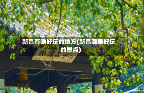 新昌有啥好玩的地方(新昌哪里好玩的景点)-第2张图片
