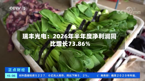瑞丰光电：2026年半年度净利润同比增长73.86%-第2张图片