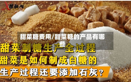 甜菜糖费用/甜菜糖的产品有哪些