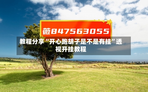 教程分享“开心跑胡子是不是有挂”透视开挂教程-第2张图片