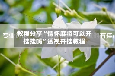 教程分享“情怀麻将可以开挂挂吗”透视开挂教程-第2张图片