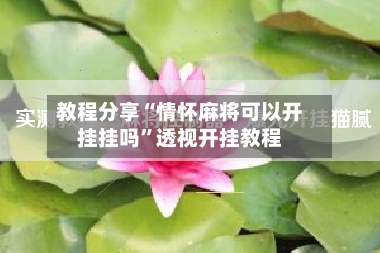 教程分享“情怀麻将可以开挂挂吗”透视开挂教程