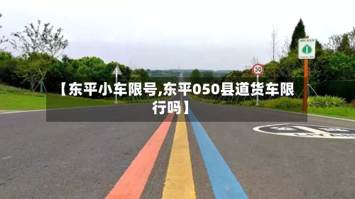 【东平小车限号,东平050县道货车限行吗】-第2张图片