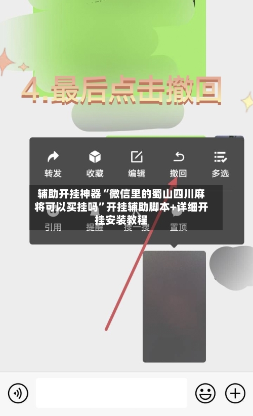 辅助开挂神器“微信里的蜀山四川麻将可以买挂吗”开挂辅助脚本+详细开挂安装教程-第3张图片