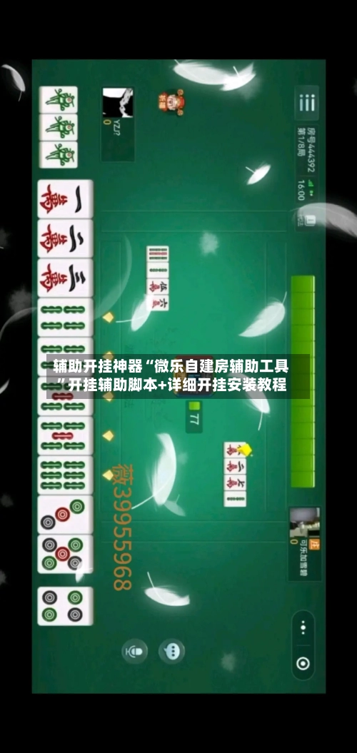 辅助开挂神器“微乐自建房辅助工具”开挂辅助脚本+详细开挂安装教程-第2张图片