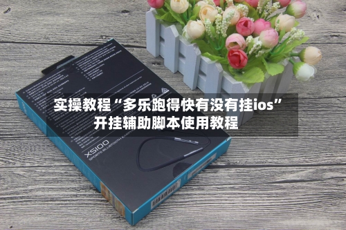 实操教程“多乐跑得快有没有挂ios”开挂辅助脚本使用教程-第2张图片