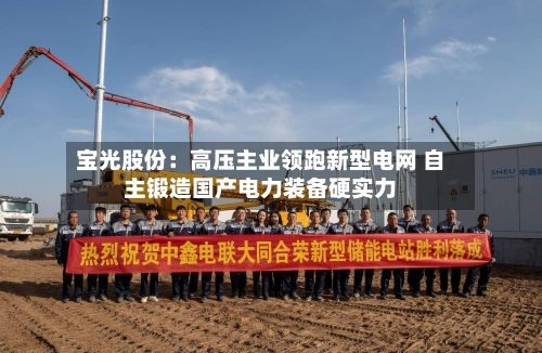 宝光股份：高压主业领跑新型电网 自主锻造国产电力装备硬实力