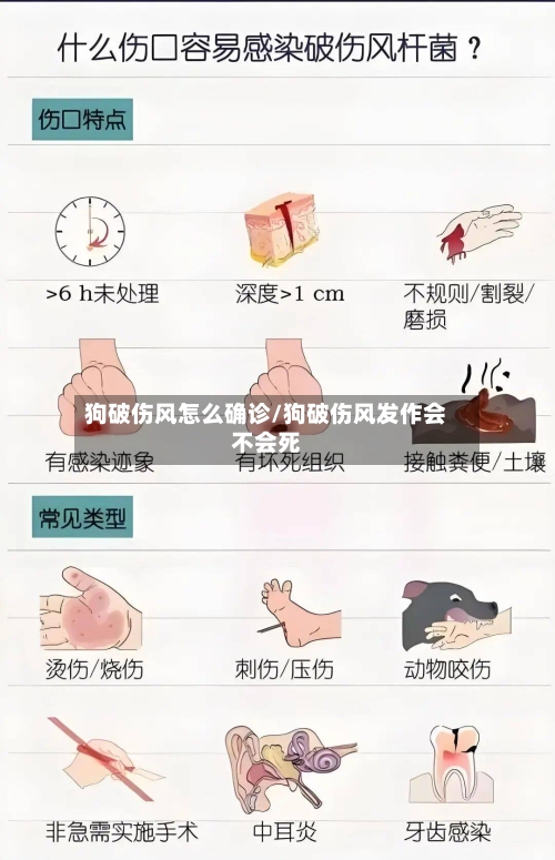 狗破伤风怎么确诊/狗破伤风发作会不会死