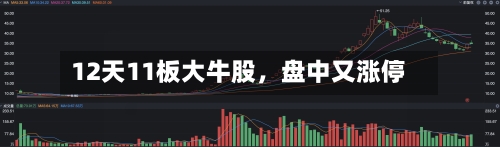 12天11板大牛股，盘中又涨停-第2张图片