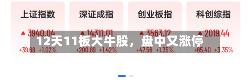 12天11板大牛股，盘中又涨停