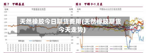 天然橡胶今日期货费用(天然橡胶期货今天走势)