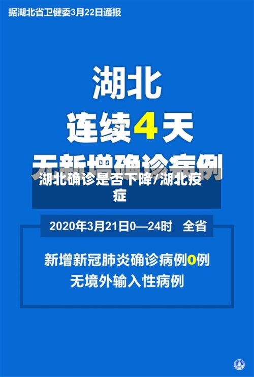 湖北确诊是否下降/湖北疫症