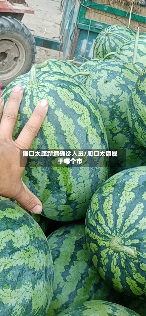 周口太康新增确诊人员/周口太康属于哪个市-第3张图片