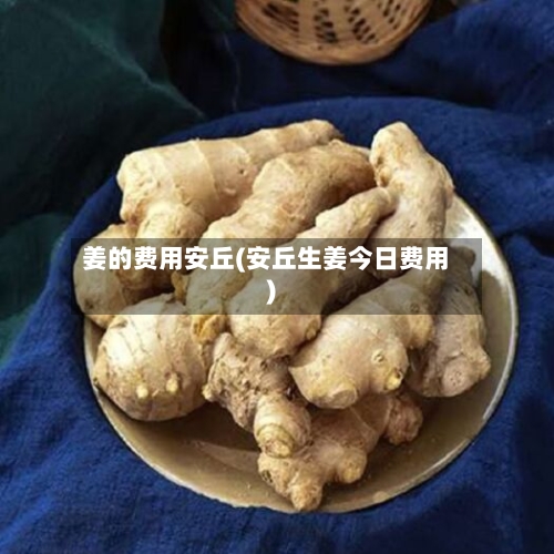 姜的费用安丘(安丘生姜今日费用)-第2张图片