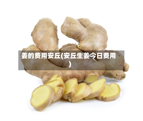 姜的费用安丘(安丘生姜今日费用)-第3张图片