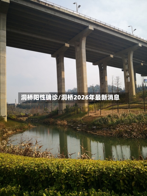 洞桥阳性确诊/洞桥2026年最新消息
