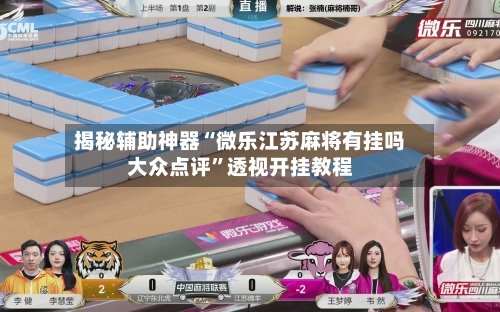 揭秘辅助神器“微乐江苏麻将有挂吗大众点评”透视开挂教程-第2张图片