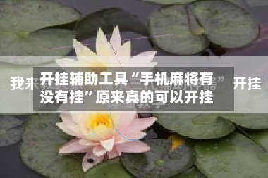 开挂辅助工具“手机麻将有没有挂”原来真的可以开挂-第3张图片