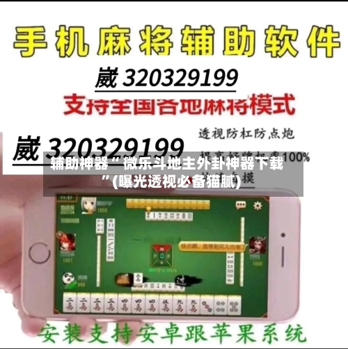 辅助神器“ 微乐斗地主外卦神器下载”(曝光透视必备猫腻)-第2张图片