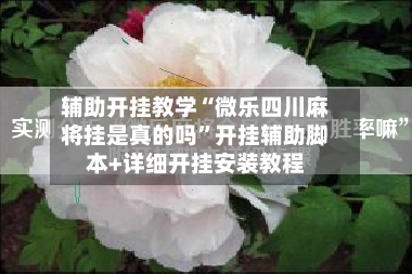 辅助开挂教学“微乐四川麻将挂是真的吗	”开挂辅助脚本+详细开挂安装教程-第2张图片