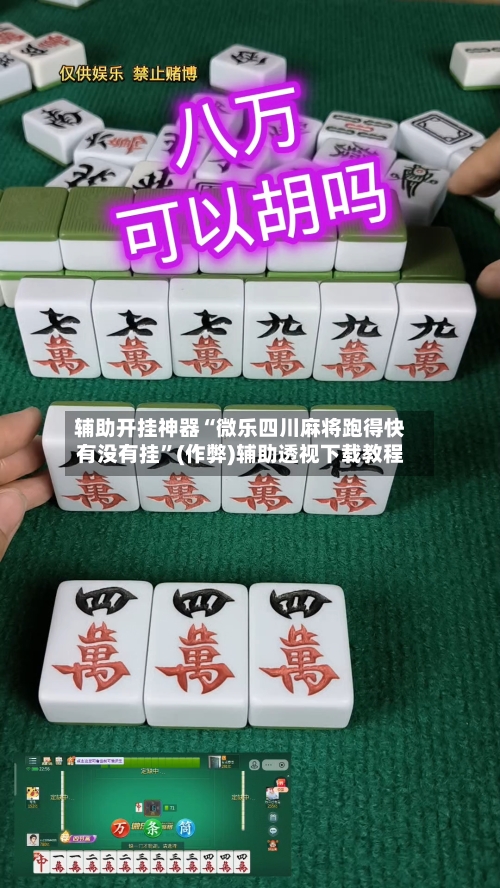 辅助开挂神器“微乐四川麻将跑得快有没有挂”(作弊)辅助透视下载教程-第2张图片