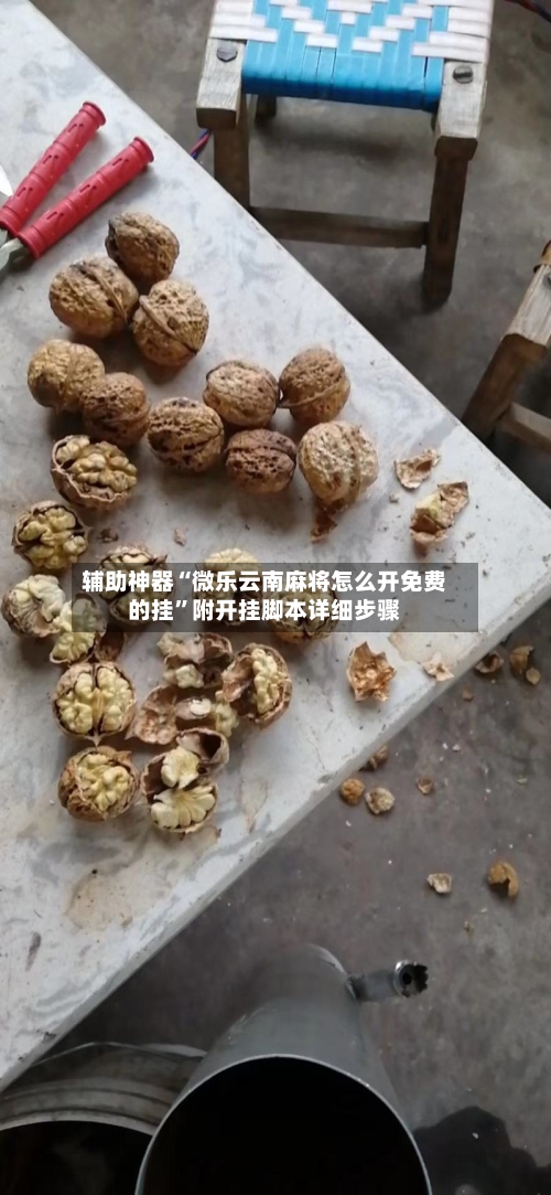 辅助神器“微乐云南麻将怎么开免费的挂”附开挂脚本详细步骤